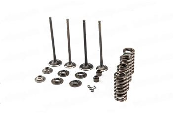 Клапаны впуск+ выпуск+ ремкомплект ZS174MN-3 (CBS300)